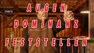AUGENDOMINANZ im Bogenschießen...wie stellt man das Dominante Auge fest!