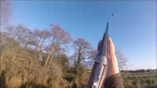 Rough shooting Roscommon 2017