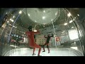 indoor skydiving wind speed and transition practice nick 28