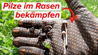 8 Tipps gegen Pilze im Rasen - So wirst du sie ganz einfach los!