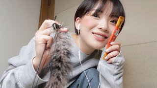 ASMR 너는 고양이, 나는 집사 🐈 You are a Cat, I'm a Cat Servant (Sub✔️)