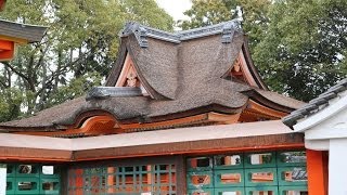 多治速比売神社（たじはやひめじんじゃ）・荒山(こうぜん)公園 ＜堺市 南区宮山台＞