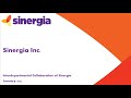 Sinergia Inc.