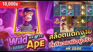 Wild Ape #3258 สล็อตแตกง่าย ที่เดียวมามีอยู่จริง