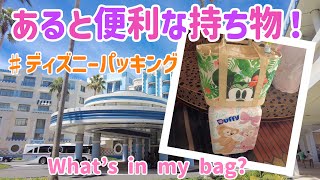 年パス歴12年がおすすめ！あると便利な持ち物！バッグの中身紹介♪ディズニーパッキング！〜What's in my bag?〜