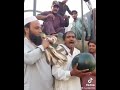 Tarboz Lal Hai Mal Hai | Funny Video | Viral Watermelon Saler In Pakistan