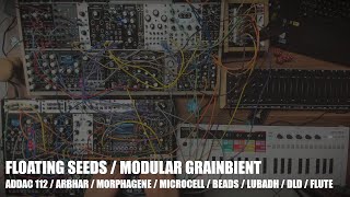 Floating Seeds - Modular Grainbient