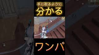 【荒野行動】敵の動きが手に取るようにわかる奴のワンパ潰しwww