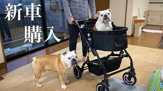 【おはぶる】妹犬専用の新車を納車！！愛する妹犬のために入念なチェックを怠らない整備士犬ぶるまるw