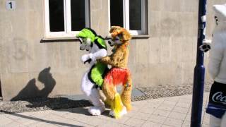 Eurofurence 19 - Fursuiters Out For a Stroll