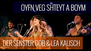 Der Šenster Gob \u0026 Lea Kalisch – Oyfn Veg Shteyt a Boym (LIVE)