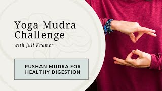 Enhance DIGESTION: Explore the Magic of Pushan Mudra | Day 9 Yoga Mudra Challenge