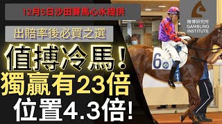 【賽馬貼士】12月5日 值搏冷馬！｜獨贏有23倍 位置都有4.3倍！值得一搏！