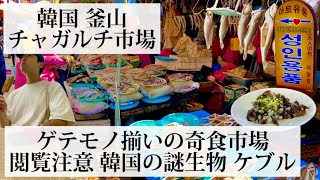 【チャガルチ市場/韓国 釜山🇰🇷】ゲテモノ揃いの奇食市場 韓国の謎生物ケブルを食べてみた