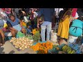 TEMPORADA DE JICAMAS (YAM BEAN) EN LOS MERCADOS DE GUERRERO, MÉXICO. 😀🧄🧅🎃