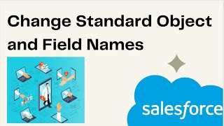 Change Standard Object and Field Names in Salesforce