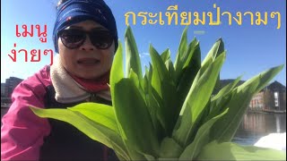 #ผักป่า#กระเทียมป่า#ยายเพ็ญนอร์เวย์ เดินออกกำลังกายยามเช้าได้ผักป่า#กระเทียมป่ากลับบ้านด้วย