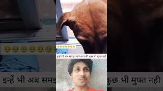 Dog हमेशा लकड़ी या पत्ता ले कर आता है ☺️  September 21, 2024