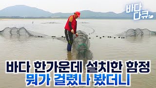 밀물썰물만 잘 맞추면 알아서 잡혀주는 고마운 물고기들 / 바다 한가운데 설치한 초대형 함정 / #바다다큐