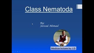 Class Nematoda: Structure and Characteristics