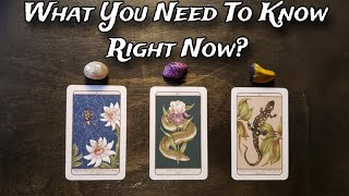 🧚‍♂️💫 What You Need To Know Right Now! 🌟🔮 Pick A Card Reading