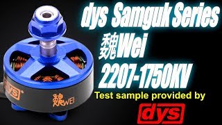 dys Samguk 魏Wei 2207-1750KV 6S Thrust Tests