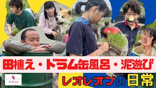 【Ai Event】レオレオンの日常　田植え・ドラム缶風呂・泥遊び　さくらもちの輪さん主催　＼みんなあつまれ〜／＼わいわい泥田遊び＆田植え／