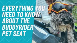 Everything You Need to Know About the BuddyRider Pet Seat