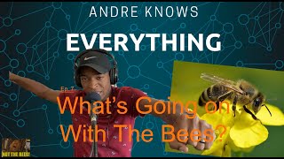 What Is Going On With The BEES? |Andre Knows Everything| Ep. 7