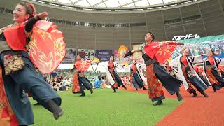 準大賞受賞【燦仁-SUNJIN-・流し】ライオンズよさこい2023＠ベルーナドーム　《燦-SUN-》