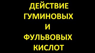 действие гуминовых и фульвовых кислот. фульво-гуминовый комплекс