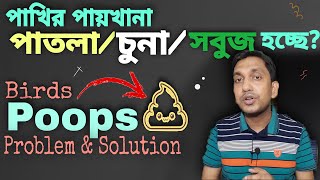 পাখির সবুজ/চুনা/পাতলা পায়খানার চিকিৎসা | Birds Diseases and Treatment (V-135)