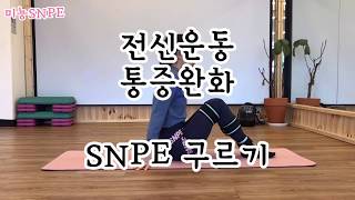 [미뇽SNPE] 어깨/등/허리 통증 완화는 물론 전신운동이 되는 SNPE 4번동작 구르기 영상