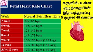 Normal Fetal Heart Rate in Tamil | Fetal Heart Rate Chart in tamil | baby heartbeat during pregnancy