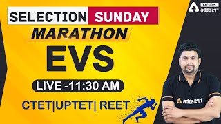 CTET/UPTET/REET 2021 Marathon | EVS