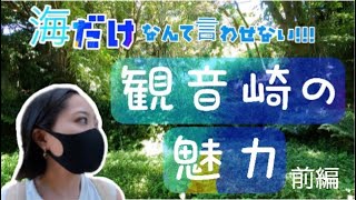 【ひとり観音崎してきた】横浜からバイクで1時間！海だけじゃない観音崎の魅力を知って欲しい！