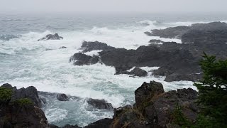Bruit De La Pluie, la Mer et Orage: Pour Méditer, Relaxation, Dormir - 4K Ultra HD