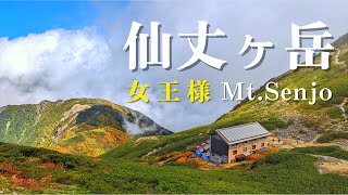 【仙丈ヶ岳】9月「南アルプスの女王様は多量のガスと少しの晴れ間」北沢峠6:10-仙丈ヶ岳10:30