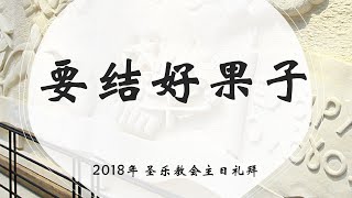 要结好果子│圣乐教会sungrak│金箕东牧师 │庇哩亚BEREA