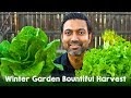 Bountiful Harvest from Winter 2018-2019 Vegetable Garden Part 3 of 3