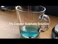 How to create a 1% Copper Sulphate solution.