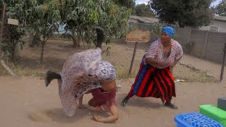 KARATE PA NJUGA (ZIM COMEDY) FT MAMA VEE 🤸😡😂