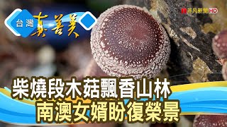 隱身山林的“柴燒段木菇” ｜谷久牧藝農社｜【台灣真善美】2024.03.03