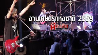 คอนเสิร์ตงานเกษตรแห่งชาติ 2559 - พี สะเดิด