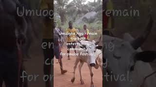 Umuogbo Agu remain the best entertaining community for omabe festival.. like and share 🙌👍🙏