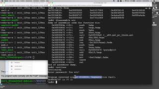CNIT 127: Project ED 202 Demo: Buffer Overflows