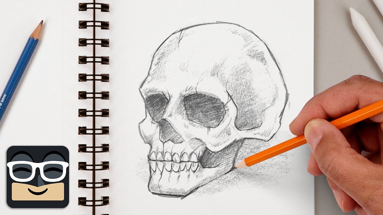 How To Draw A Realistic Skull Step By Step Art Lesson For Beginners