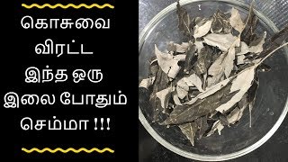 கொசுவை விரட்ட மிக எளிமையான முறை - Tamil health tips