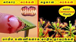 மிரளவைக்கும் ஆபத்தான 5 தாவரங்கள் | Top 5 Weird Plants Interesting Facts Tamil Galatta Facts GK FOX