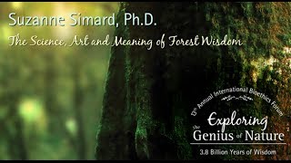 The Science, Art and Meaning of Forest Wisdom - Suzanne Simard, Ph.D.